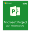 Project-Professional-2021-05PC.png
