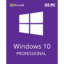 Windows-10-Professional-05PC.png