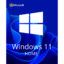 windows-11-home.png