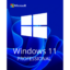windows-11-professional.png